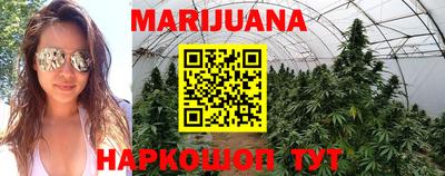 apvp Пушкино
