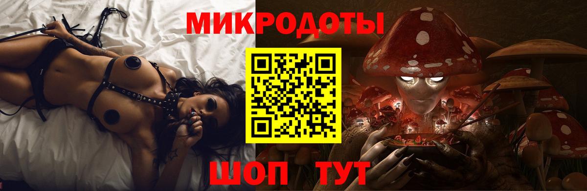 Галлюциногенные грибы Psilocybine cubensis  Галлюциногенные грибы ЛСД  Вход с VPN  Гагарин 